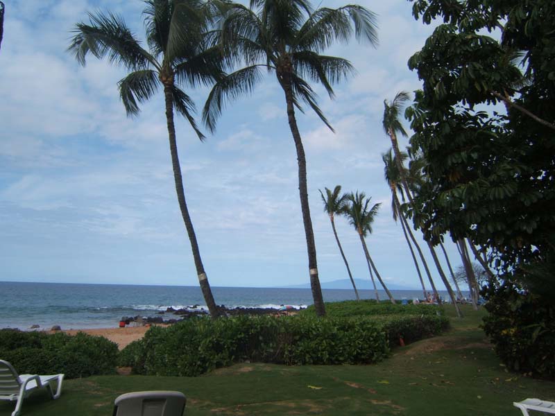 DSCF8640