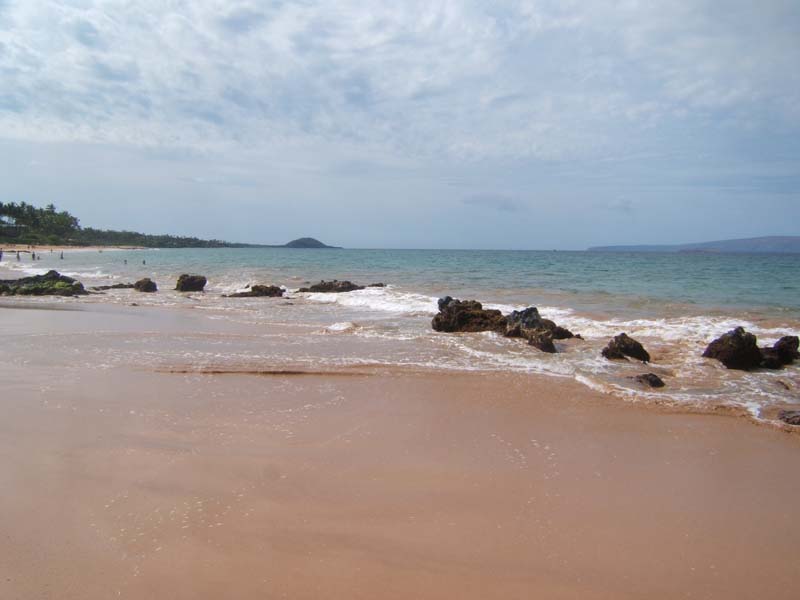 DSCF8654