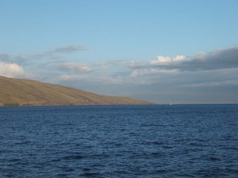 DSCF8766