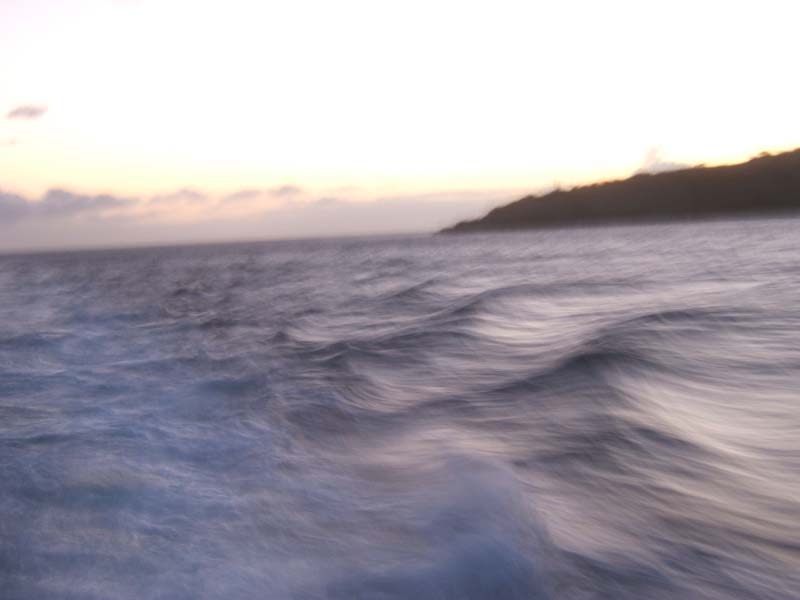 DSCF8773