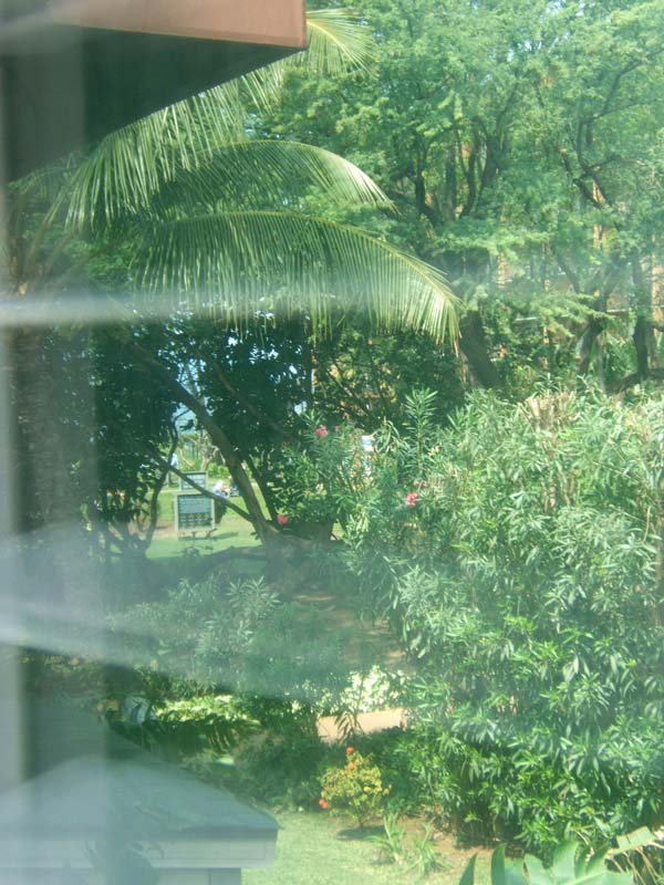 my_view