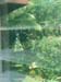 my_view
