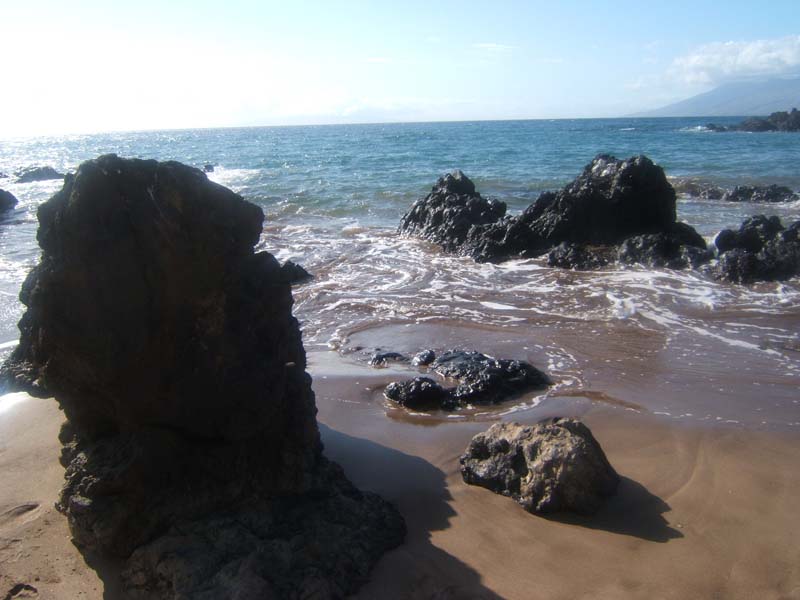DSCF8864