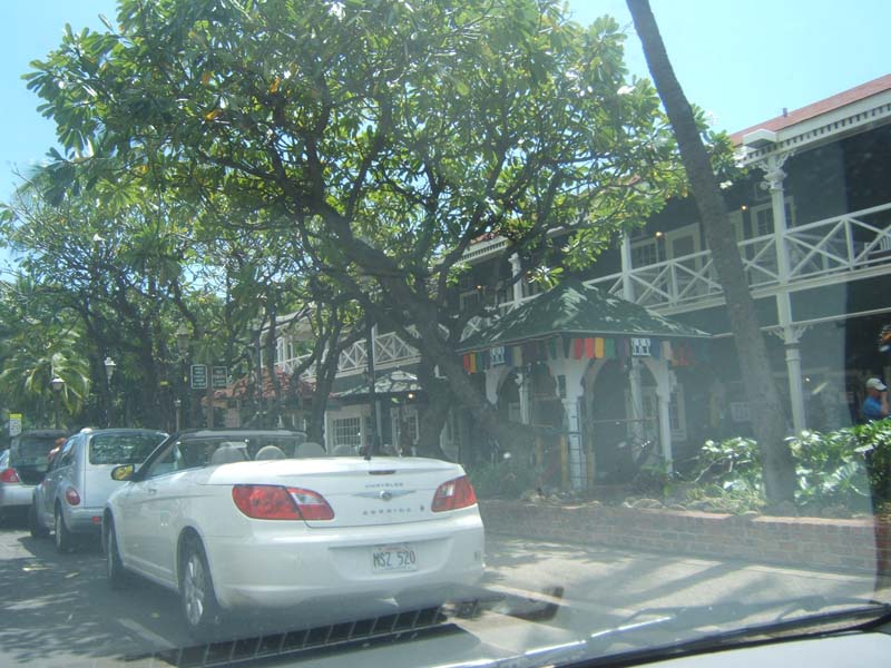 DSCF8823