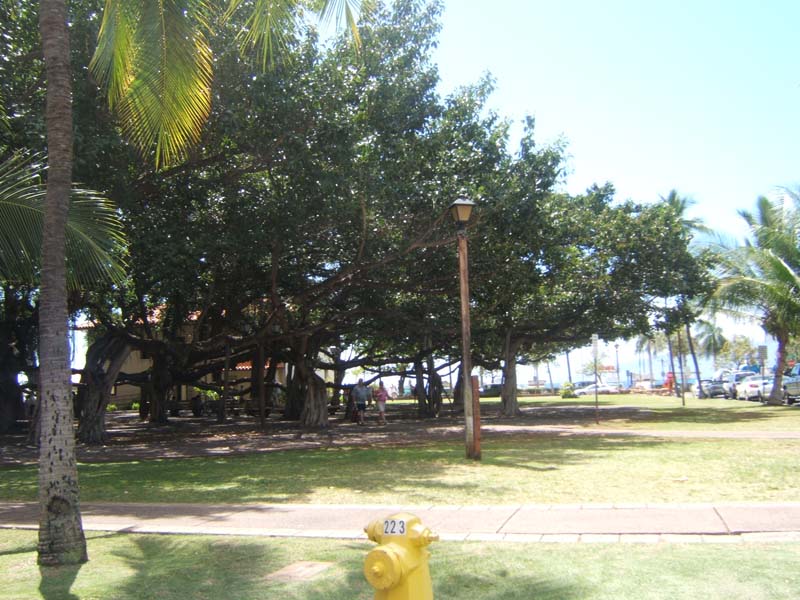 DSCF8824