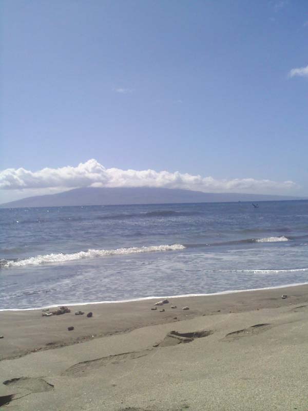DSCF8843a