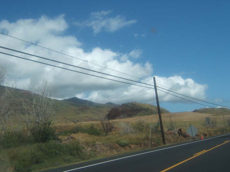 DSCF8849