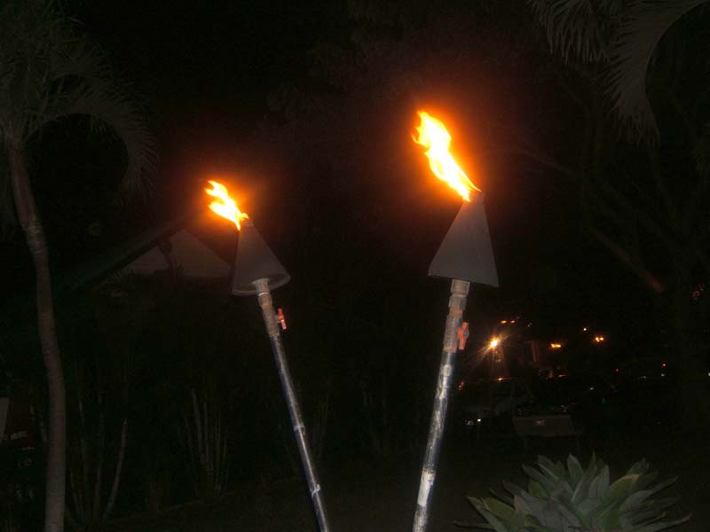 DSCF8979