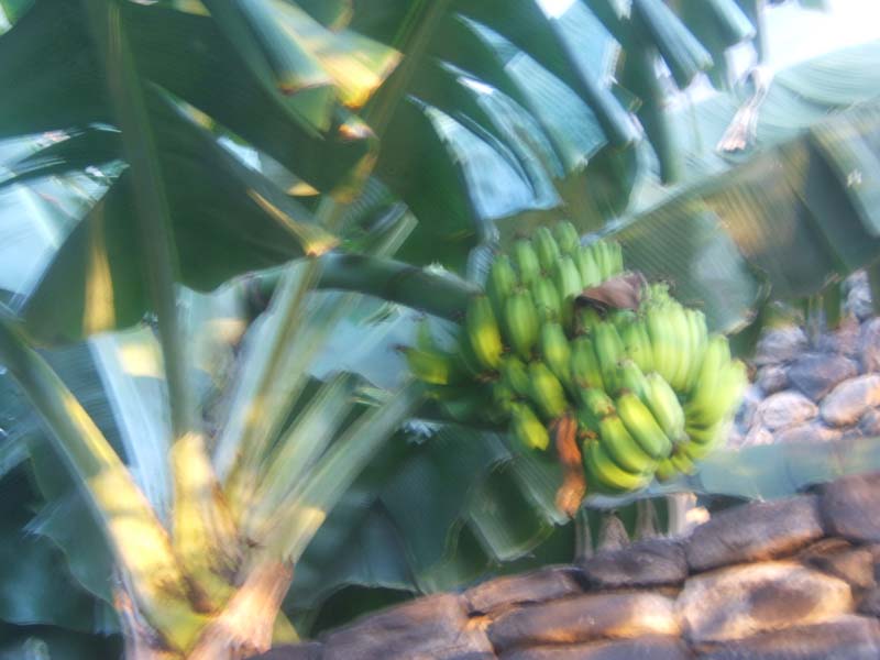 DSCF8940