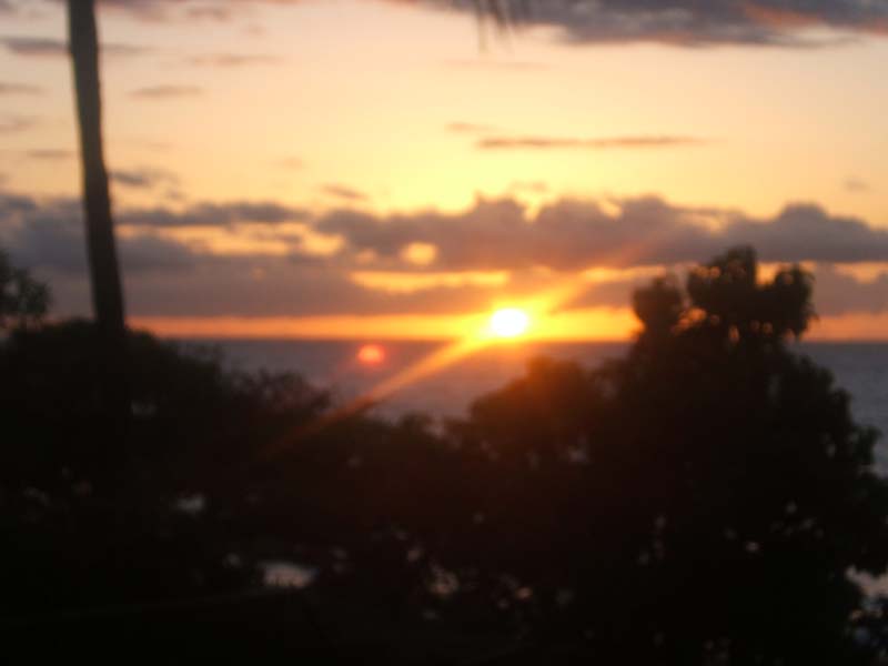 DSCF8945