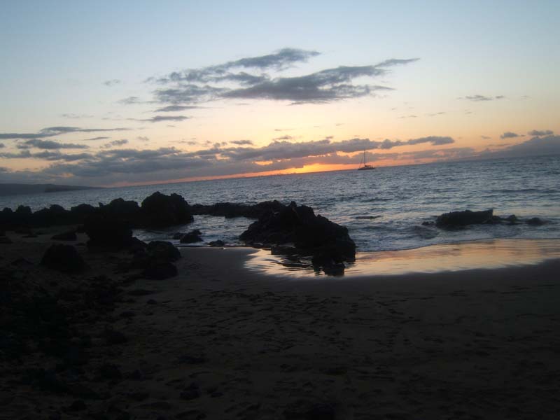 DSCF8955