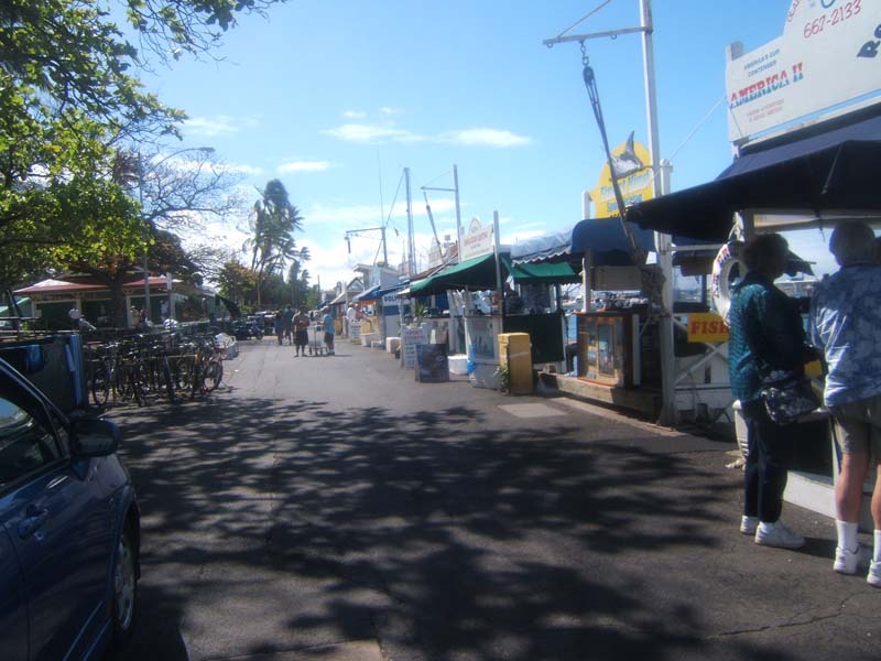 DSCF8986