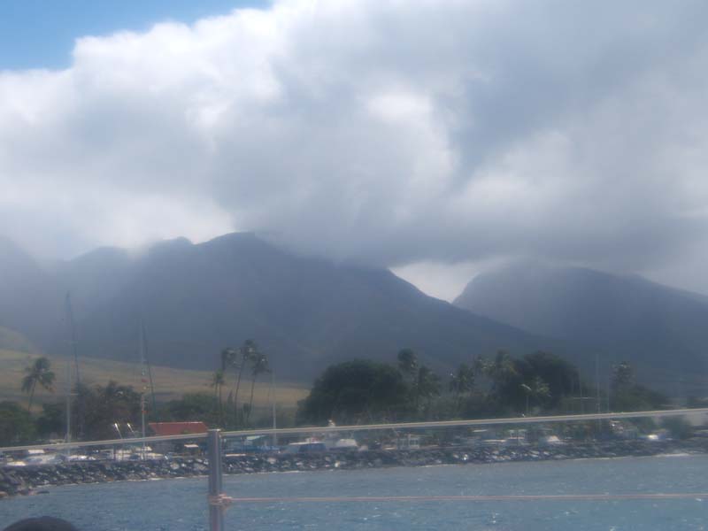 DSCF8992