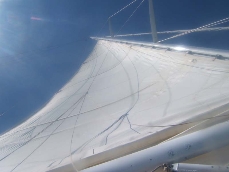 DSCF9004