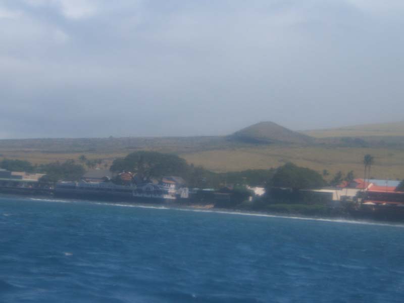 DSCF9005
