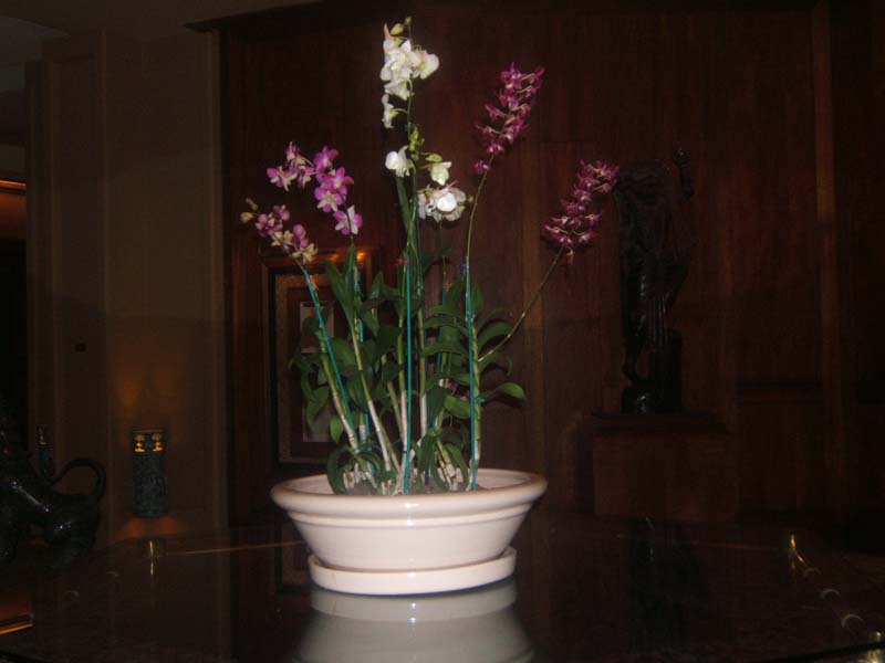 DSCF9106