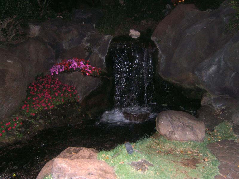 DSCF9125
