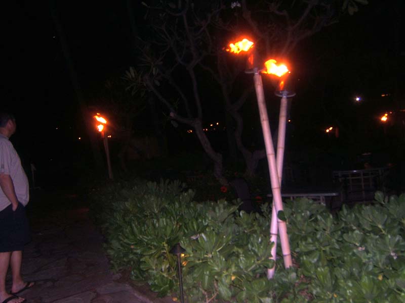 DSCF9132