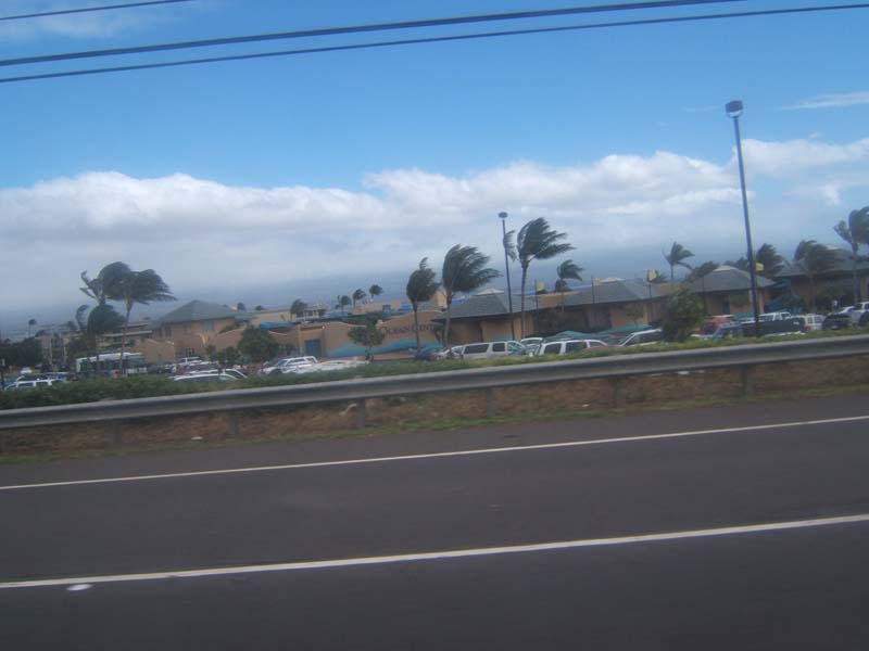 DSCF9028