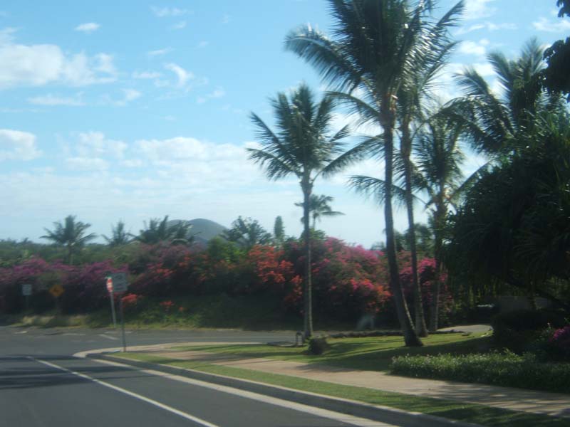 DSCF9037