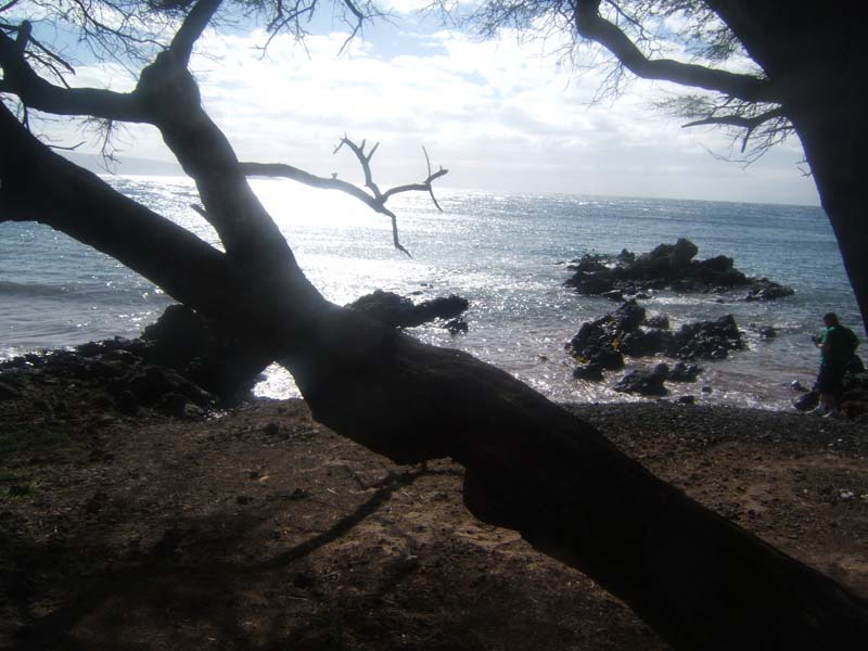 DSCF9038