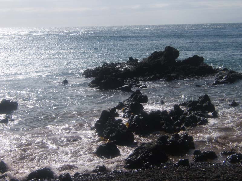 DSCF9040