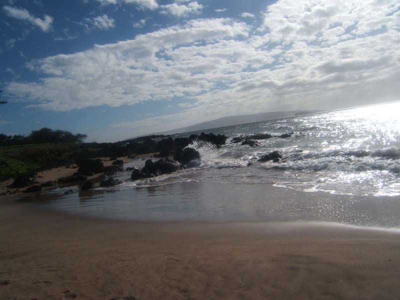 DSCF9054
