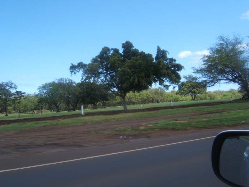 DSCF9141