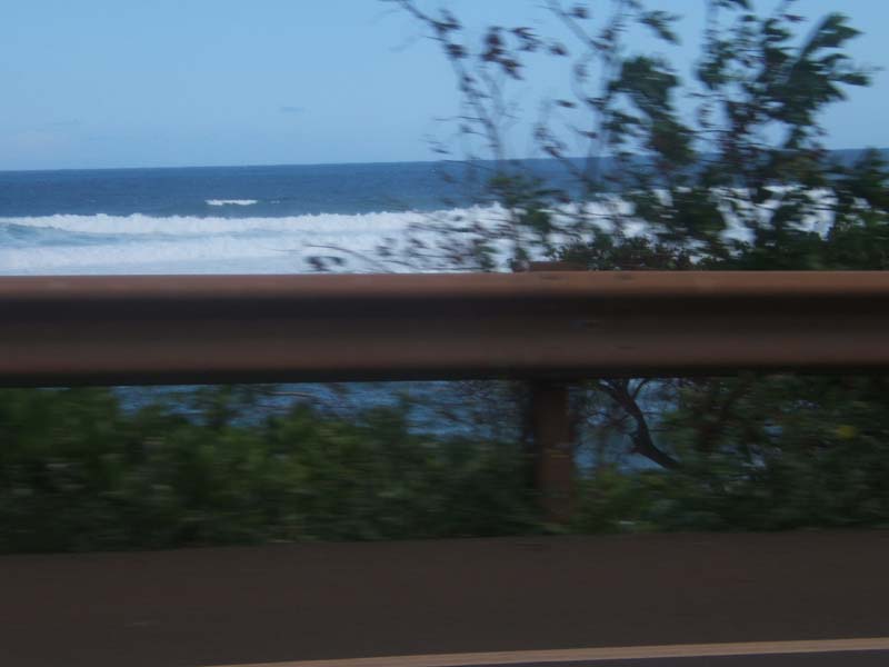 DSCF9146
