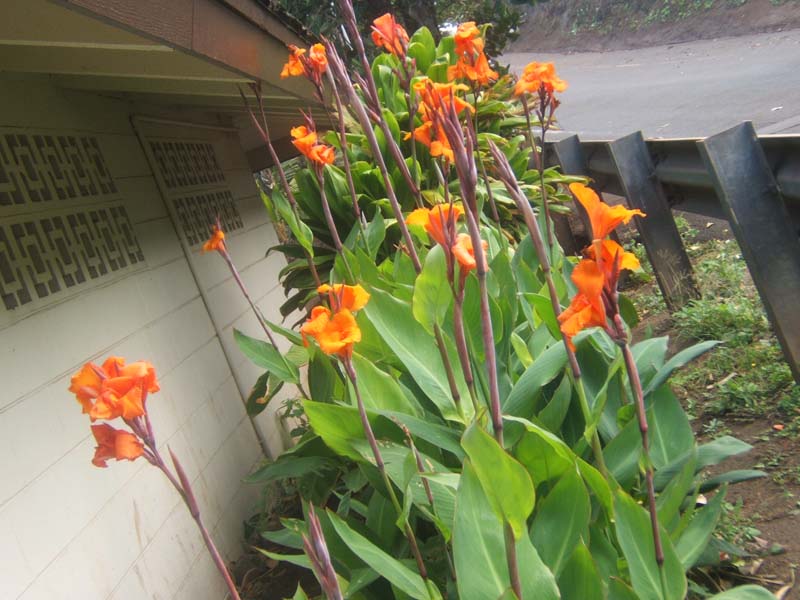 DSCF9157