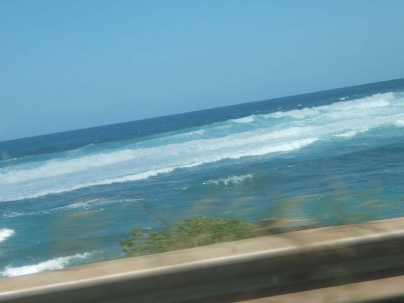 DSCF9161