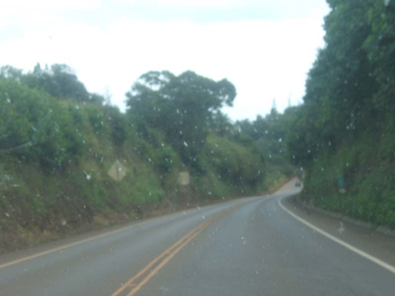 DSCF9163