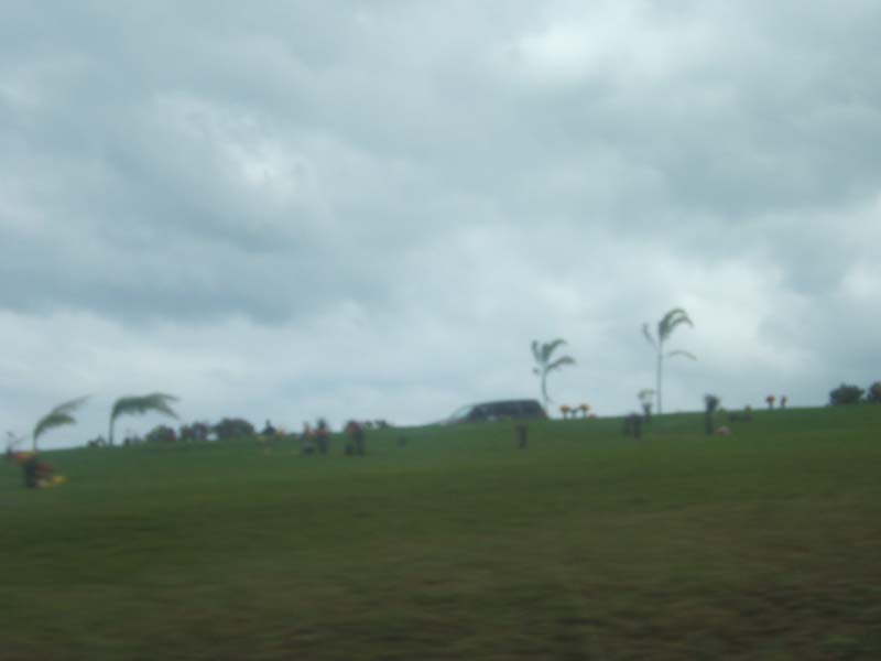 DSCF9167