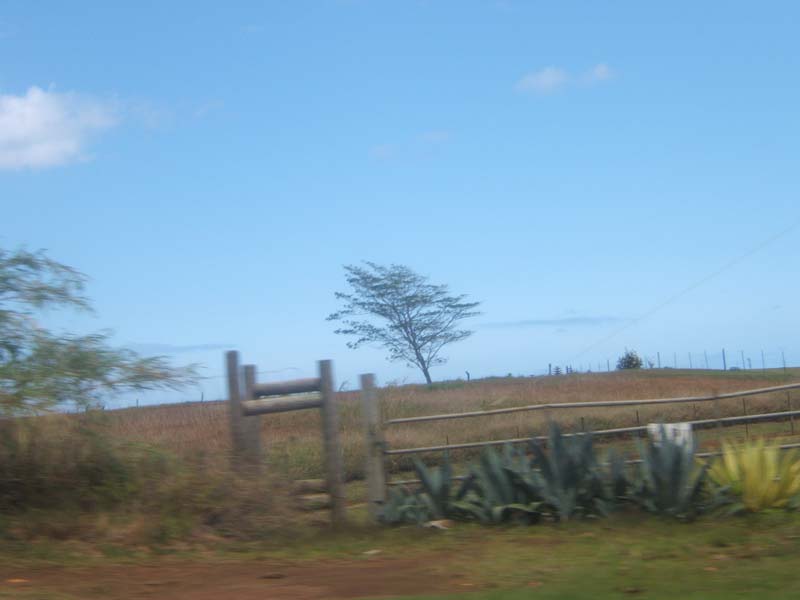 DSCF9172