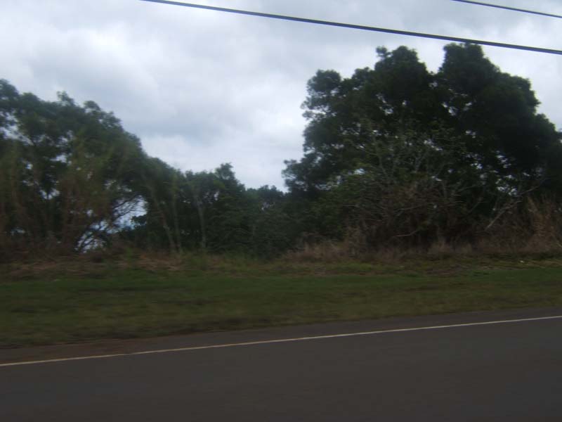 DSCF9174