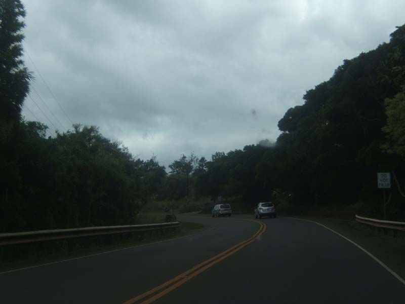 DSCF9175