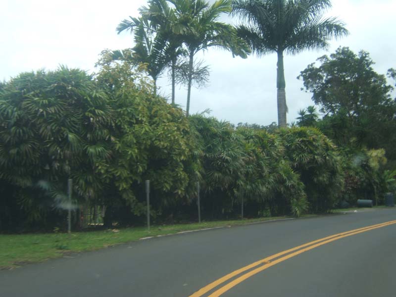 DSCF9187