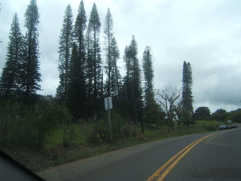 DSCF9191
