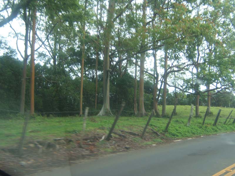 DSCF9194