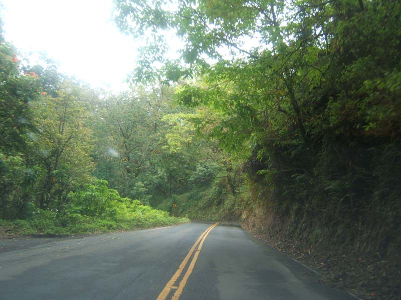 DSCF9197