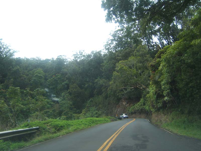 DSCF9199