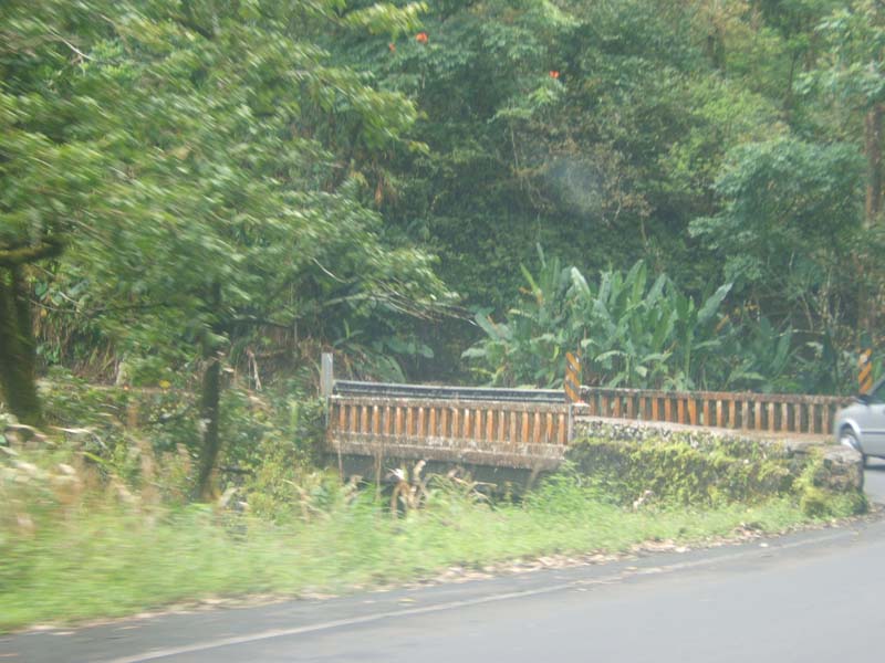 DSCF9201