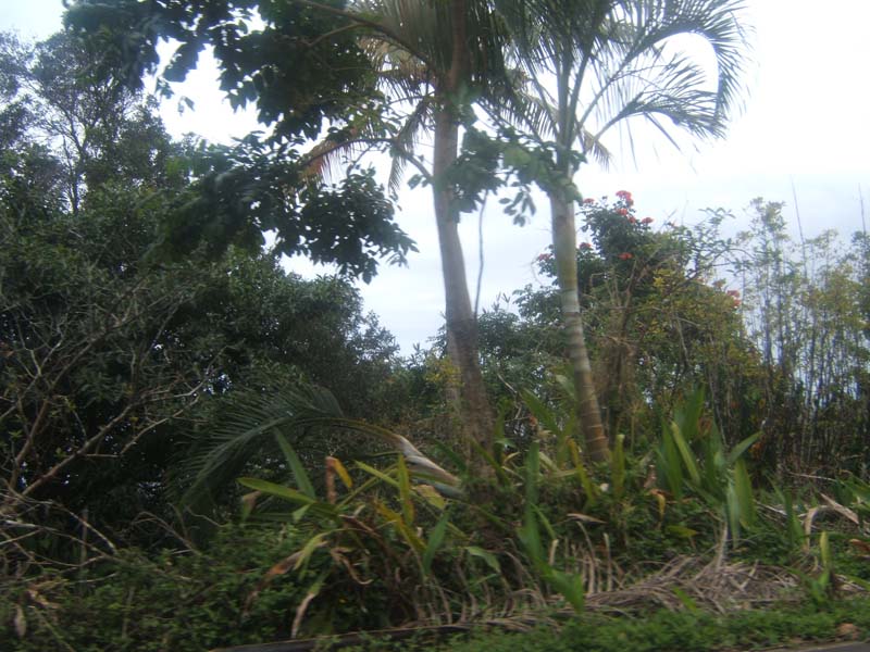 DSCF9212