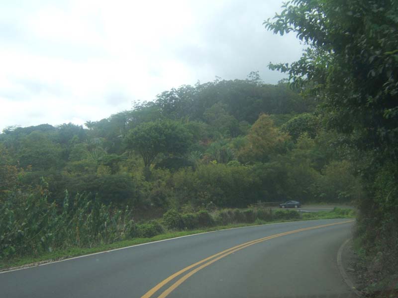 DSCF9213
