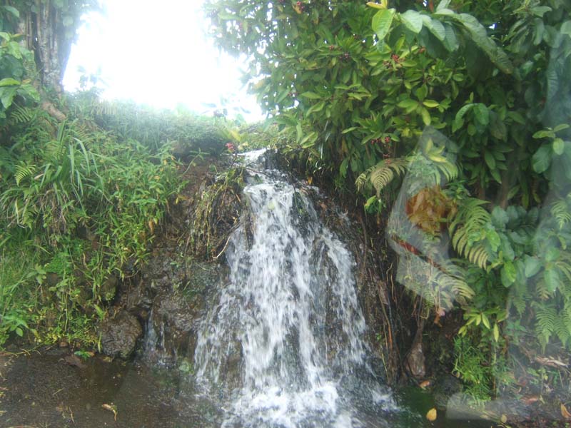 DSCF9247