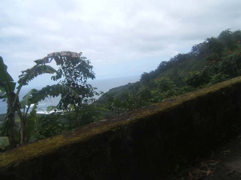 DSCF9250