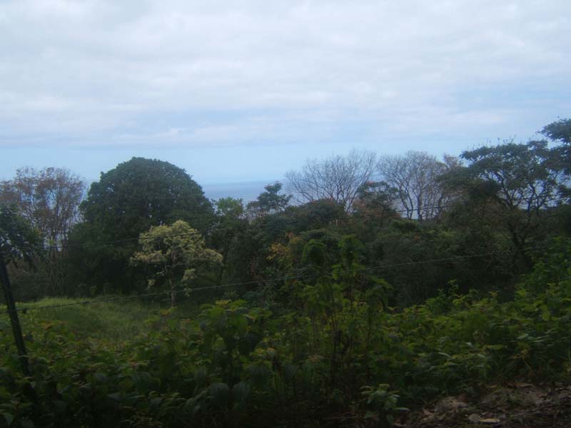 DSCF9256