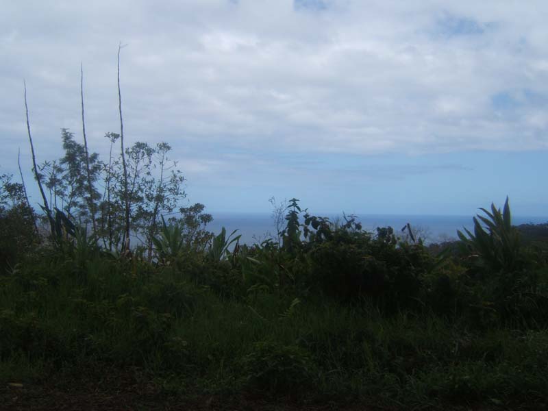 DSCF9257