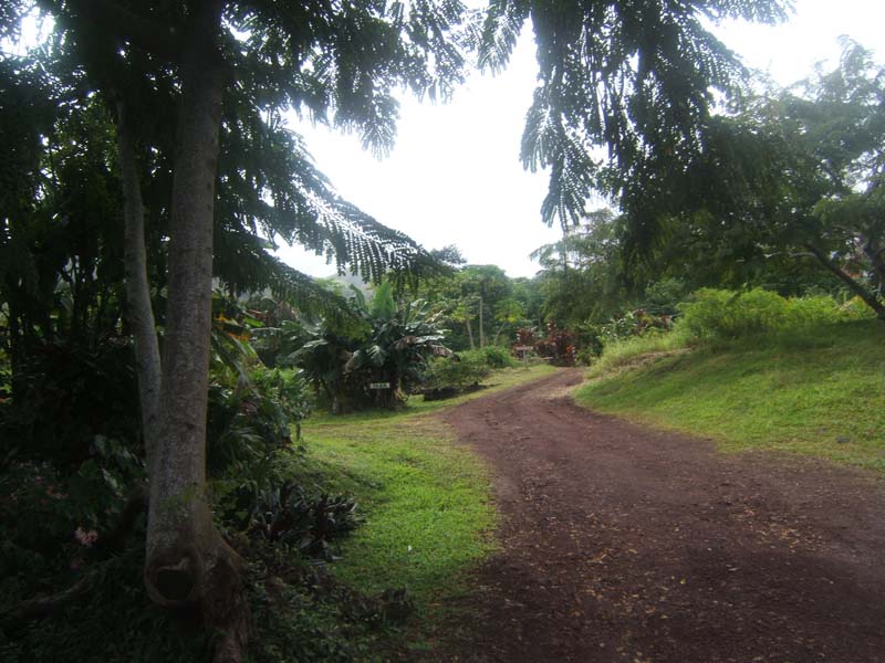 DSCF9269