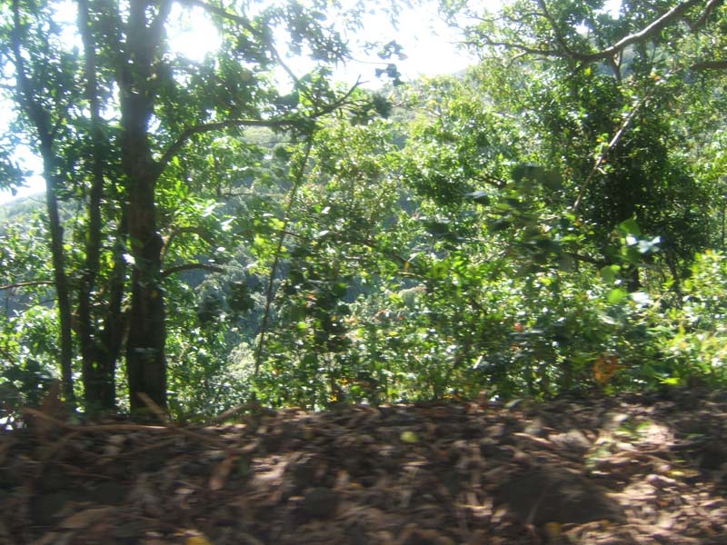 DSCF9280